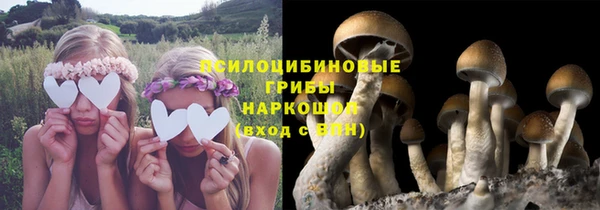 СК Баксан