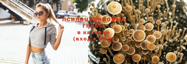 СК Баксан